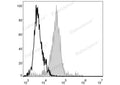 FITC Anti-Mouse F4/80 Antibody[CI:A3-1] – Figure 1 of 2