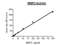 MMP3(K45E), His-tag Recombinant – Figure 1 of 2