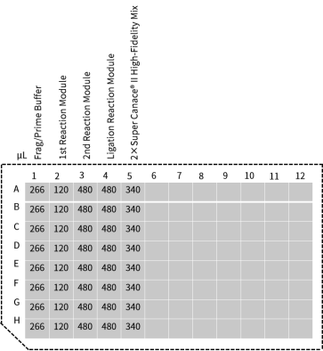 Hieff NGS™ EvoMax RNA Library Prep Kit (Strand-specific)