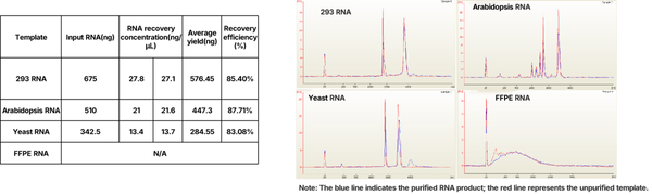 Hieff NGS™ RNA Cleaner