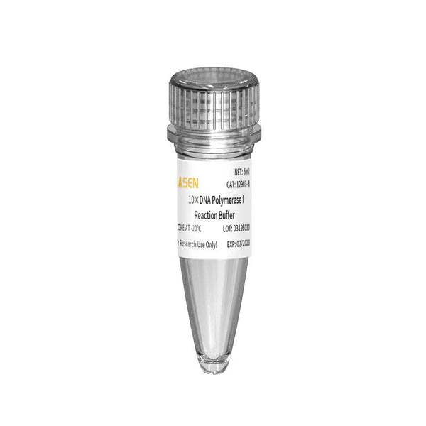 DNA Polymerase I (10 U/μL)