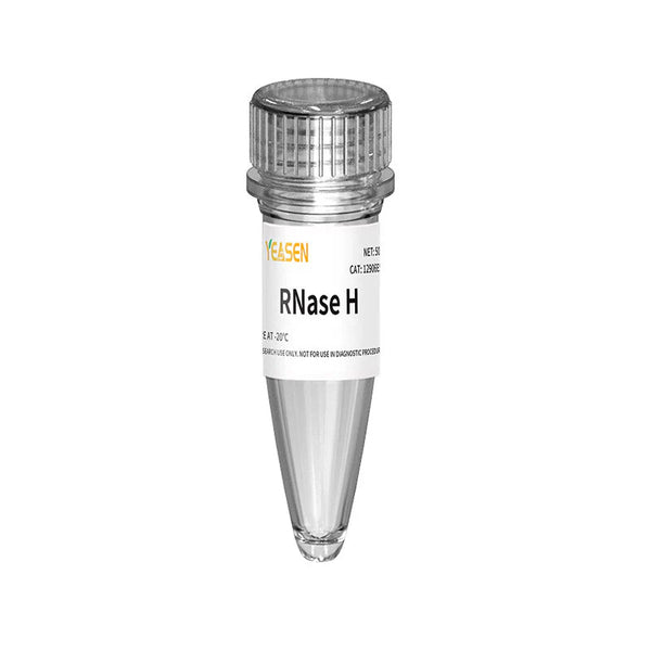 RNase H (5 U/μL)