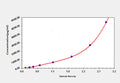 Rat Insulin (INS) ELISA Kit – Figure 1 of 1