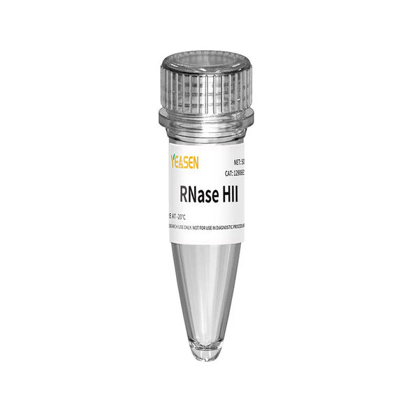 RNase HII, Glycerol-free (2 U/μL)