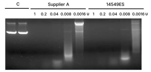 Recombinant DNase I (RNase-free, Yeast, 5 U/μL)