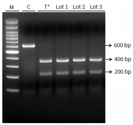 AapCas12b Nuclease