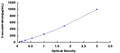 Equine Interleukin 10 (IL10) ELISA Kit — standard curve, 15.6–1000 pg/mL