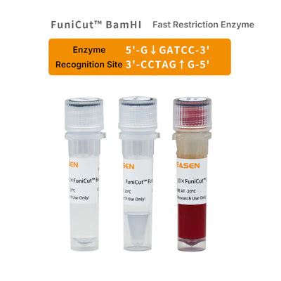FuniCut™ BamHI