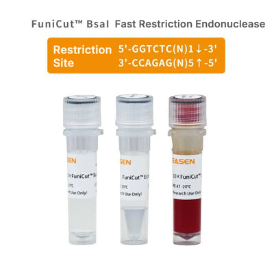 FuniCut™ BsaI