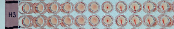 Recombinant Influenza hemagglutinin (H3N2) - Figure 1 of 1