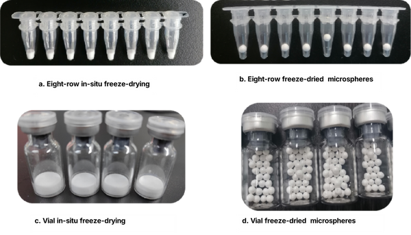 Figure 1. Freeze-dried product form
