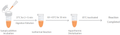 RT-LAMP Lyo-Ready Fluorescent Assay Kit(Bst Plus)