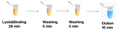 Hieff™ Magnetic Blood DNA Kit