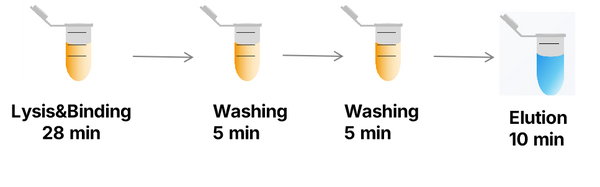 Hieff™ Magnetic Blood DNA Kit