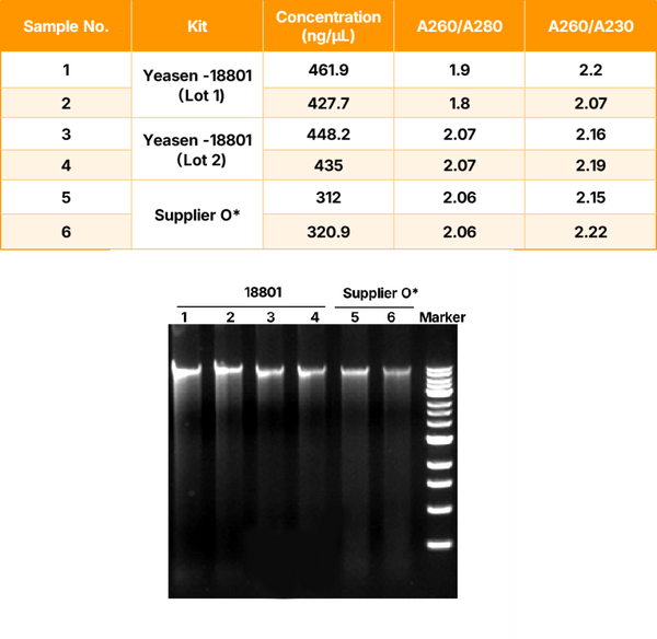 Hieff™ Plant Plus DNA Kit