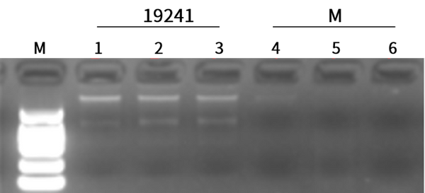 Figure 1. Blood RNA Integrity QC Results