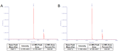mRNA Vaccinia Capping Enzyme GMP-grade (10 U/μL)