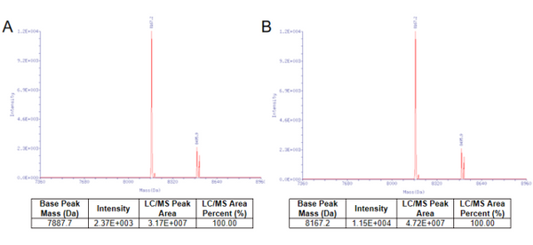 mRNA Vaccinia Capping Enzyme GMP-grade (10 U/μL)