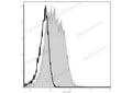 Elab Fluor® 488 Anti-Mouse CD28 Antibody[37.51] – Figure 3 of 5