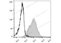PE Anti-Mouse CD54 Antibody[YN1/1.7.4] – Figure 1 of 2