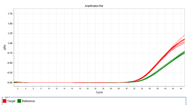 Figure 1. 2 copies/μL rcAAV2 DNA qPCR assay results