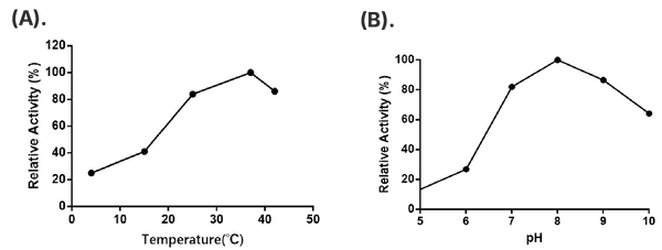 Figure 1. Effects of temperature and pH on enzyme activity.