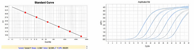 Figure 1. Standard curve (left) and amplification curve plot (right) for CHO DNA (3G).