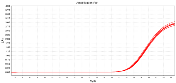 Figure 1. 10 copies/μL RCR DNA qPCR assay results