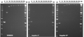 Figure&nbsp;1. Comparison of long-range PCR amplification capabilities.