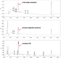 Figure 1. Yeasen Kex2 protease and carboxypeptidase B efficiently cleave P29-Arg34 GLP-1 (9–37), supporting a tandem enzymatic process with high yield and high purity.