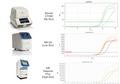 Figure 1. Instrument platform compatibility testing. Amplification of 293T cell-derived targets using kit #11172ES on multiple qPCR platforms: Bio-Rad (no ROX), ABI QuantStudio 5 (low ROX), and ABI StepOnePlus (high ROX). Results demonstrate consistent performance across instruments with different ROX requirements, confirming universal compatibility of the kit.