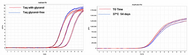 Figure 1. Stability of Yeasen glycerol-free enzyme (14326ES).