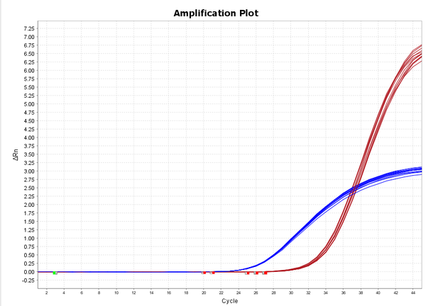 Figure 1. 5 copies/μL Lentivirus RNA qPCR assay results