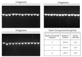 T5 Exonuclease(10 U/μL)