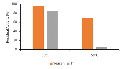 Hifair™ V Reverse Transcriptase (600U/μL, Glycerol free)