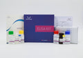 Horse IL1RA(Interleukin 1 Receptor Antagonist) ELISA Kit
