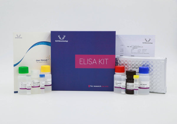 Horse IL1RA(Interleukin 1 Receptor Antagonist) ELISA Kit