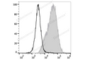 FITC Anti-Mouse CD14 Antibody[Sa14-2] – Figure 1 of 2