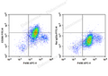 FITC Anti-Mouse CD206/MMR Antibody[C068C2] – Figure 1 of 2