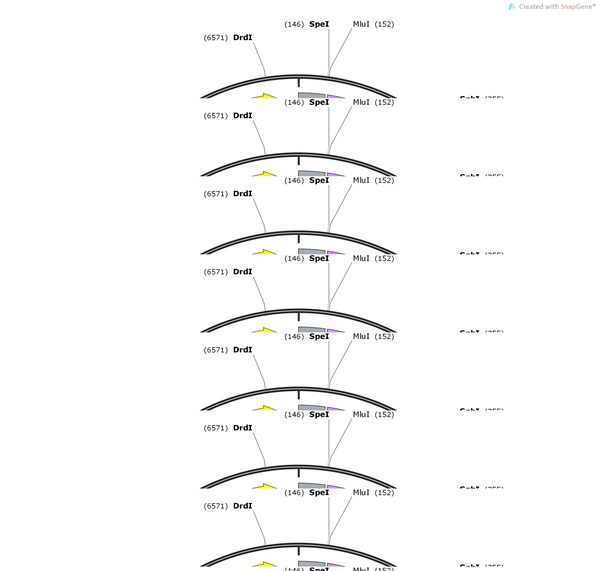 AAV-mTH-NES-jRGECO1a-WPREs