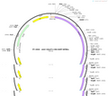 AAV-VGLUT1-Cre-EGFP-WPREs