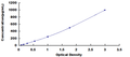 Rat Vascular Endothelial Growth Factor D (VEGFD) ELISA Kit – Figure 1 of 1