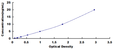 Human Tankyrase 1 (TNKS1) ELISA Kit – Figure 1 of 1