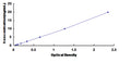 Human B-Cell CLL/Lymphoma 11A (Bcl11A) ELISA Kit – Figure 1 of 1