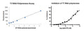 T7 RNA Polymerase Assay Kit – Figure 1 of 1