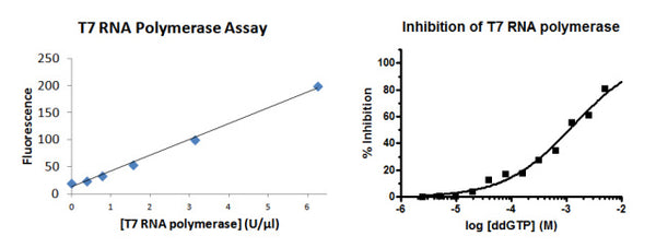 T7 RNA Polymerase Assay Kit – Figure 1 of 1