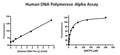 Human DNA Polymerase Alpha Assay Kit – Figure 1 of 1