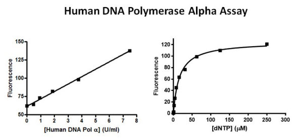 Human DNA Polymerase Alpha Assay Kit – Figure 1 of 1