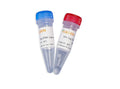 Taq DNA Ligase (40 U/µL)