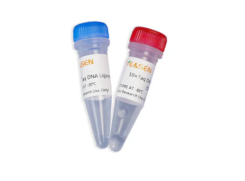 Taq DNA Ligase (40 U/µL)